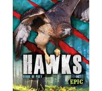 Nathan Sommer Hawks (Copertina rigida) Birds of Prey
