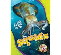 Nathan Sommer Squids (Copertina rigida) Ocean Life Up Close