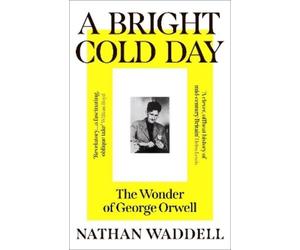 Nathan Waddell A Bright Cold Day (Tascabile)