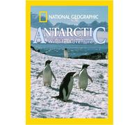 National Geographic: Antarctic Wildlife Adventure (DVD)