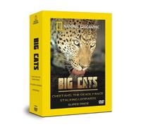National Geographic - Big Cats [Edizione: Stati Uniti]