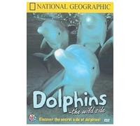 National Geographic - Dolphins - The Wil: Quadrant Video [Edizione: Regno Unito]