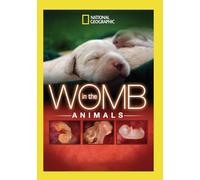In The Womb: Animals (DVD)