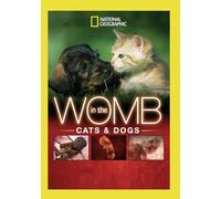 In The Womb: Cats & Dogs (DVD)