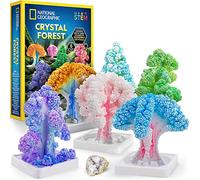 National Geographic - Kit per la coltivazione di cristalli, per far crescere 6 alberi di cristallo in sole 6 ore, kit educativo con materiale artistico, campione geode, kit STEM Arts & Crafts