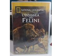 National Geographic - L'odissea dei felini