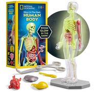 NATIONAL GEOGRAPHIC Modello Anatomico per Bambini - Kit interattivo da 32 pezzi (23 cm) con ossa, organi, muscoli, pinzette, base, poster identificativo e parti che si illuminano al buio
