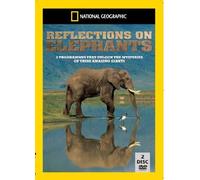 National Geographic: Reflections on Elephants [DVD] [Edizione: Regno Unito]