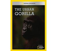 The Urban Gorilla – National Geographic – DVD