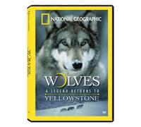National Geographic - Wolves-Legend Returns to Yello