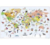 National Geographic World Wall Map - Illustrated - Laminated (Poster Size: 36 X 24 In)