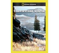 Yellowstone Winter (DVD)