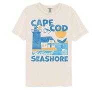 National Parks - Cape COD Nazionale Riva Del Mare - American Classici - Solido