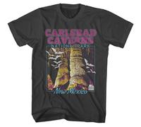 National Parks Carlsbad Caverns T-Shirt Uomo Maniche Corte Smoke 2XL Cotone/Poli
