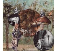 Native Harrow - Old Kind Of Magic