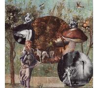 Native Harrow – Old Kind Of Magic – Vinile 12" LP