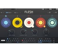 Native Instruments Flesh