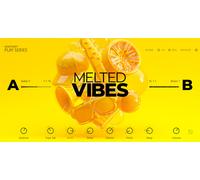 Native Instruments Melted Vibes