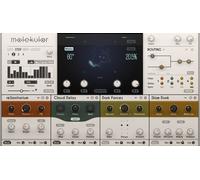 Native Instruments Molekular