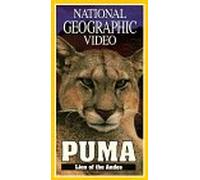 Nat'l Geo: Puma Lion of Andes