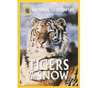 Nat'l Geo: Tigers of the Snow