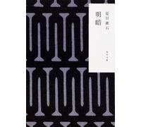 Natsume Soseki Light And Darkness (Tascabile)