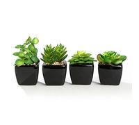 Nattol Mini piante grasse artificiali moderne in vaso in vaso a forma di cubo in ceramica nera per decorazione domestica, set di 4