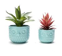 Nattol Set di 2 vasi per piante grasse, con motivo gufo, in ceramica, turchese