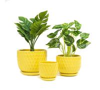 Nattol Set di 3 vasi da fiori in ceramica gialla con sottovaso, moderni vasi rotondi in ceramica per piante grasse con design ispirato a nido d'ape, di piccole e medie dimensioni, set da 3
