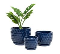 Nattol Vasi da fiori in ceramica con foro di drenaggio e piattino, vasi rotondi in stile nord europeo per piante grasse con design ispirato alla trama a nido d'ape, di piccole e medie dimensioni, set