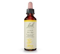 Natur Bach Center Essenza di Ginestrone - 20 ml