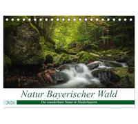 Natur Bayerischer Wald (Tischkalender 2026 DIN A5 quer), CALVENDO Monatskalender: Natur und Landschaftsbilder Niederbayern