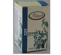 Natur-Farma RUBIGEN BOSWELLIA COMPOSTA INTEGRATORE ANTIDOLORIFICO OSSA E ARTICOLAZIONI 60 CAPSULE