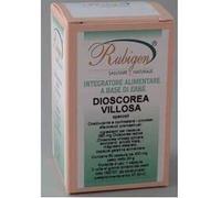 Rubigen Dioscorea Villosa 60 Capsule
