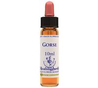 natur Gorse essenza 10 ml 1 pezzo