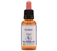 Natur GORSE ESSENZA 30 ML 1 PEZZO