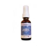 GRIEF RELIEF SPRAY ORALE 30ML