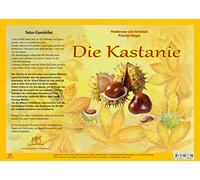 Natur-Kamishibai Die Kastanie: Naturkamishibai