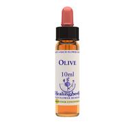 Natur OLIVE ESSENZA 10 ML 1 PEZZO