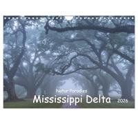 Natur Paradies Mississippi Delta (Wandkalender 2026 DIN A4 quer), CALVENDO Monatskalender: Entdecken Sie die Schönheit der Natur: Unser Wandkalender ... Landschaftsfotos von Zypressen und Sümpfen.