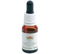 natur srl Alpine mint bush essenza 15 ml 1 pezzo