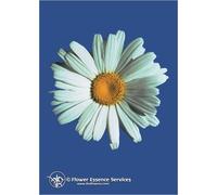 natur srl Shasta daisy ess 7,4ml calf