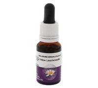 Natur YELLOW LESCHENAULTIA 15ML AUST