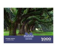 Natura Puzzle Impossible 1000Pcs All'aperto Decorazione Per La Casa. Rilassamento E Intelligence Per Adulti E Ragazzi Da 14 Anni 70x50cm/1000pcs