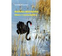 Natura selvaggia. Libera e meravigliosa. Ediz. a colori