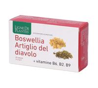 LIGNE DE PLANTES Boswellia Artiglio Del Diavolo 60 Capsule Per Le Articolazioni