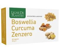 BOSWELLIA CURCUMA ZENZERO60CPS
