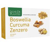 BOSWELLIA CURCUMA ZENZERO60CPS