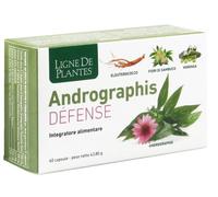 Natura Service Integratore Andrographis Defense per le difese, 60 capsule