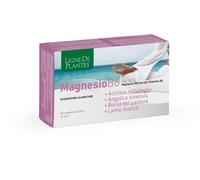 Ligne Mg B6+achil+ang+past+lam